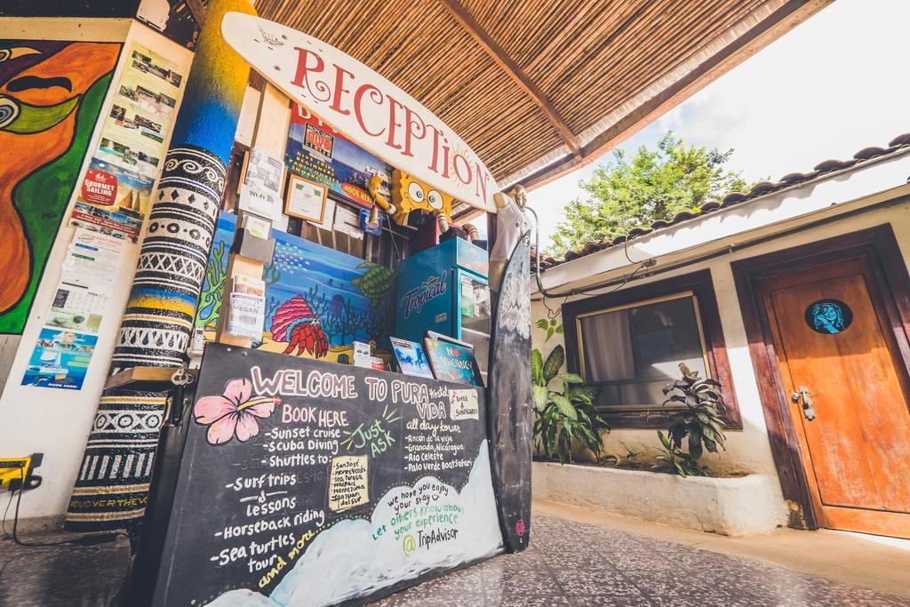 Pura Vida Hostel Tamarindo Bagian luar foto